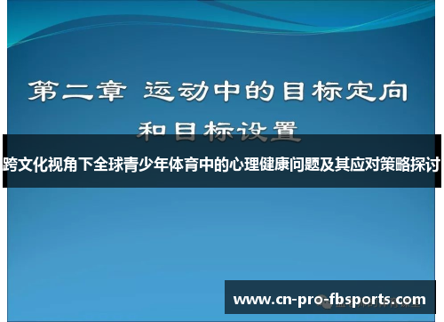 跨文化视角下全球青少年体育中的心理健康问题及其应对策略探讨