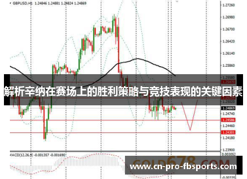 解析辛纳在赛场上的胜利策略与竞技表现的关键因素