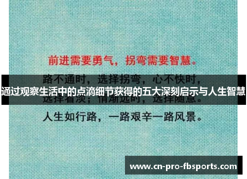 通过观察生活中的点滴细节获得的五大深刻启示与人生智慧