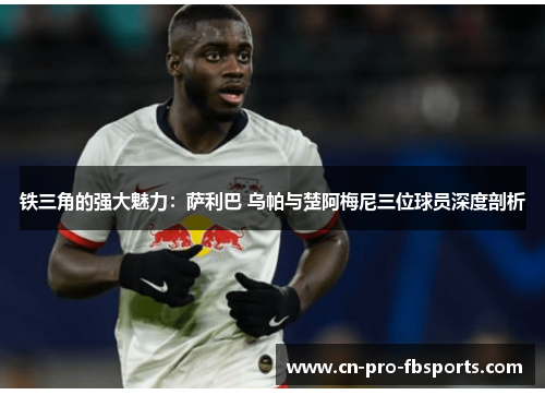 铁三角的强大魅力：萨利巴 乌帕与楚阿梅尼三位球员深度剖析