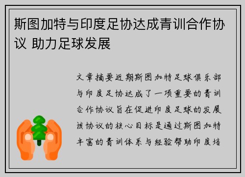 斯图加特与印度足协达成青训合作协议 助力足球发展